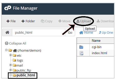 How to upload files via the cPanel File Manager? - Layer WebHost